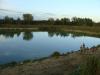 dsc01446_t1.jpg