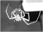 PA100724.JPG