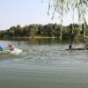 IMG_0937