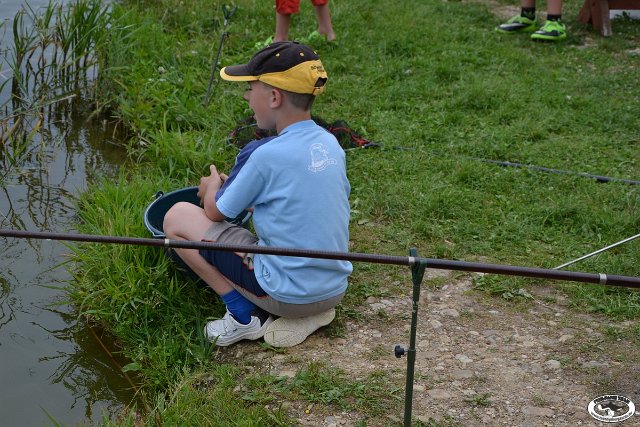 tnDSC_0296