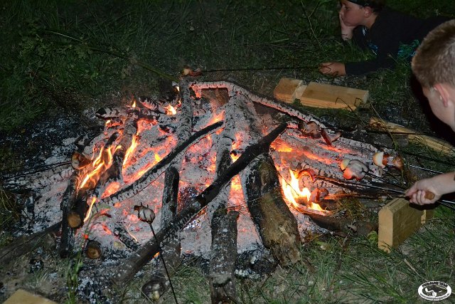 tnDSC_0570