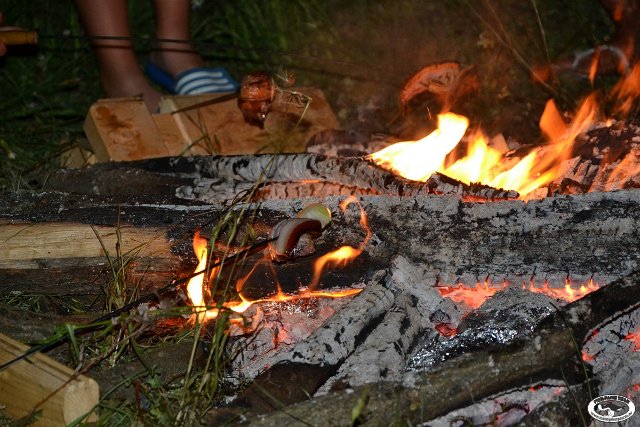 tnDSC_0578