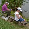 tnDSC_0291