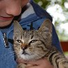 tnDSC_0334