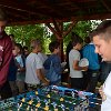 tnDSC_0340
