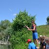 tnDSC_0440