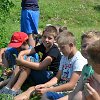 tnDSC_0441