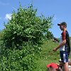 tnDSC_0442