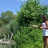 tnDSC_0445