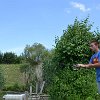 tnDSC_0446