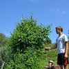tnDSC_0450