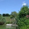 tnDSC_0452