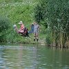 tnDSC_0456