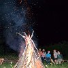 tnDSC_0513