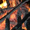 tnDSC_0547
