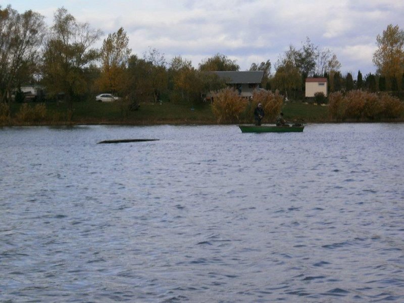 PA290029