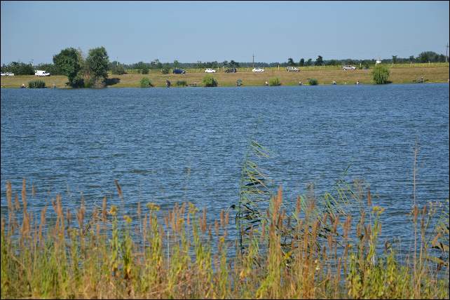 DSC_0710.JPG