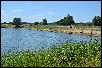 DSC_0695.JPG