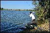 DSC_0702.JPG