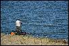 DSC_0721.JPG