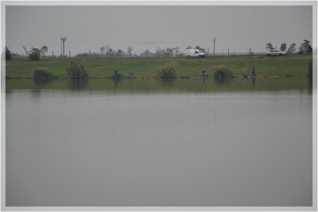 DSC_0300.JPG